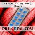 Kamagra Oral Jelly 100Mg Use 22